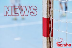 Read more about the article TSG meldet 16 Mannschaften für die Hallensaison 2022 / 2023