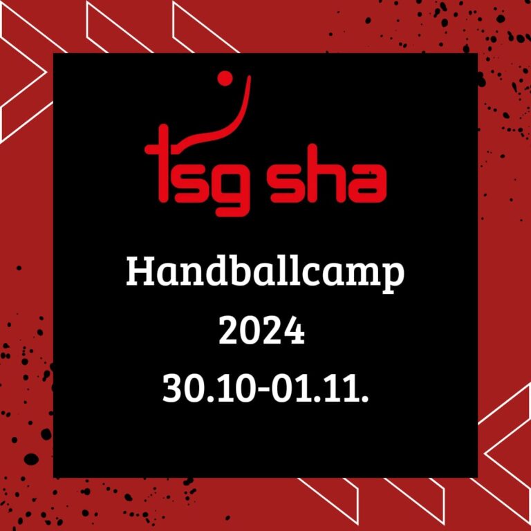 Mehr über den Artikel erfahren Noch 13 Tage: Dann startet das TSG Handballcamp 2024